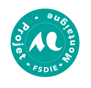 FSDIE UBM logo